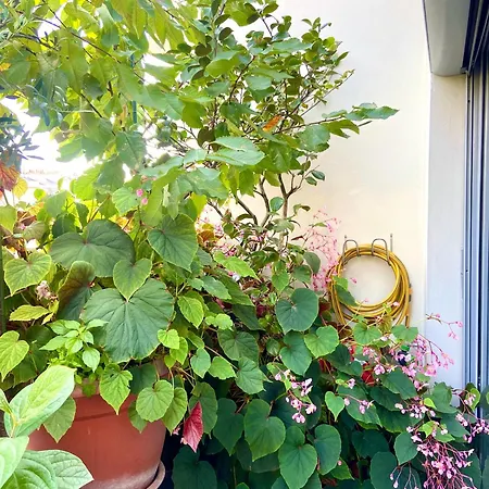 Appartement Avec Terrasse Paris Exterior foto
